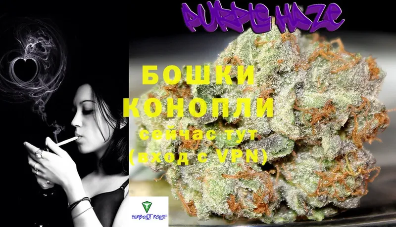 Бошки марихуана LSD WEED  KRAKEN маркетплейс  Ковров 